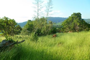 Terreno &agrave; venda - 1000m&sup2; - Ch&aacute;caras Fern&atilde;o Dias