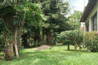 Ch&aacute;cara &agrave; venda - 1220m&sup2; - Vila Santista