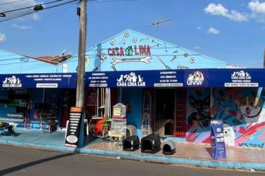 Feira de ado&ccedil;&atilde;o de c&atilde;es e gatos promete manh&atilde; especial para fam&iacute;lias em Bady