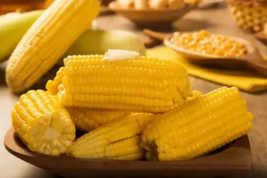 Festival Gastron&ocirc;mico de Barbacena re&uacute;ne pratos criativos com queijo e milho