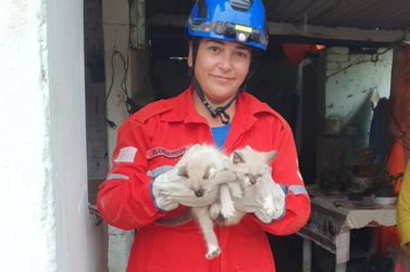 Brigada Municipal de Caranda&iacute; resgata filhotes em cisterna desativada