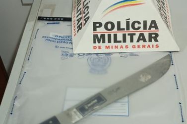 Cavalo &eacute; furtado em distrito de Ant&ocirc;nio Carlos e suspeito &eacute; preso