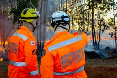 Bombeiros de MG abrem concurso com 342 vagas
