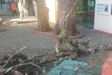Pra&ccedil;a dos Andradas ser&aacute; interditada para servi&ccedil;os de poda e manuten&ccedil;&atilde;o nesta sexta