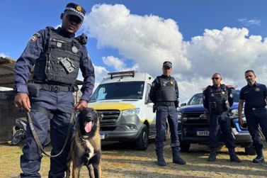 GCM de Barbacena promove nova capacita&ccedil;&atilde;o voltada ao trabalho com c&atilde;es