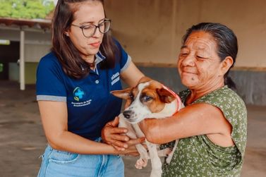 Feira de ado&ccedil;&atilde;o garante novos lares a c&atilde;es do abrigo municipal