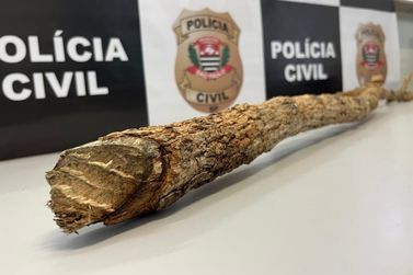 Pol&iacute;cia Civil esclarece homic&iacute;dio e prende suspeito ap&oacute;s confiss&atilde;o