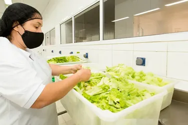 Estado de SP oferece 7,4 mil vagas de emprego; regi&atilde;o de Bauru conta com 20 oportunidades 