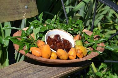 Viv&ecirc;ncia no Sesc Bauru apresenta os saberes e sabores do jaracati&aacute;