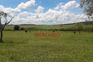 S&iacute;tio &agrave; venda - 48400m&sup2; - Centro
