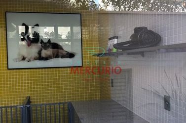 Apartamento &agrave; venda - 87m&sup2; - Jardim Estoril IV