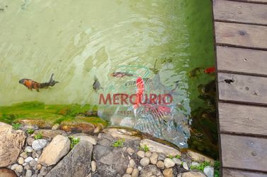Casa &agrave; venda - 420m&sup2; - Jardim Colonial