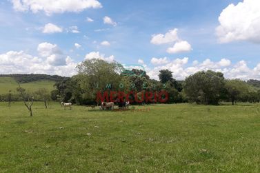 S&iacute;tio &agrave; venda - 48400m&sup2; - Centro