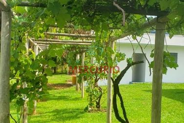 Ch&aacute;cara &agrave; venda - 24000m&sup2; - Piratininga