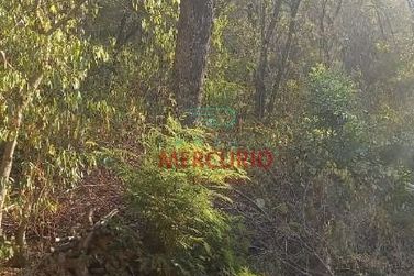 Ch&aacute;cara &agrave; venda - 100m&sup2; - &Aacute;rea Rural de Agudos