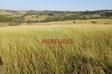 S&iacute;tio &agrave; venda - 133100m&sup2; - &Aacute;rea Rural de Duartina