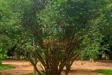 Ch&aacute;cara &agrave; venda - 24000m&sup2; - Piratininga