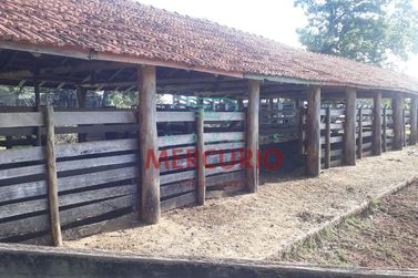 S&iacute;tio &agrave; venda - 180m&sup2; - Centro
