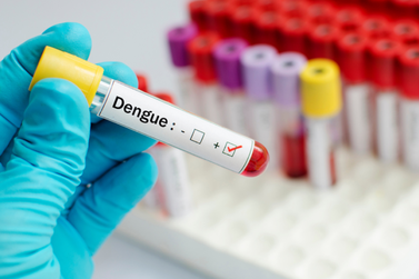 Blumenau confirma mais uma morte por dengue e destaca superlotação dos hospitais