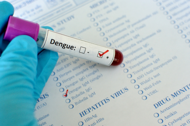 Mais duas mortes por dengue foram confirmadas em Blumenau