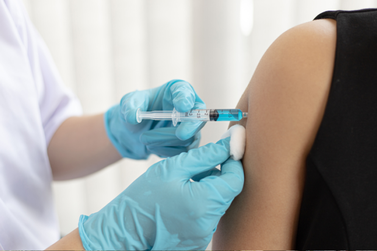 Blumenau tem data para começar a vacinação contra a dengue; saiba quando