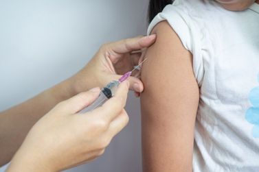 Vacinação contra a dengue continua nesta semana em Blumenau