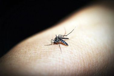 Brumadinho chega a 5 mortes suspeitas em decorrência da dengue
