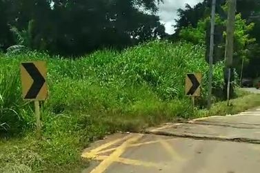 Falta de visibilidade em cruzamento com linha f&eacute;rrea preocupa moradores