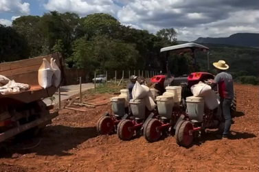 Safra de milho 2025 deve ter crescimento de 50% em Brumadinho
