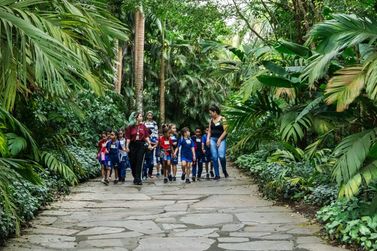 Instituto Inhotim, em Brumadinho, ter&aacute; entrada gratuita neste domingo
