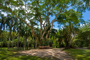 Inhotim recebe semin&aacute;rio internacional sobre biodiversidade, cultura e mudan&ccedil;as clim&aacute;ticas