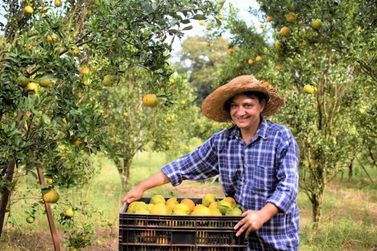 Semana do Agricultor ter&aacute; capacita&ccedil;&otilde;es, visitas t&eacute;cnicas e incentivo &agrave; produ&ccedil;&atilde;o rural