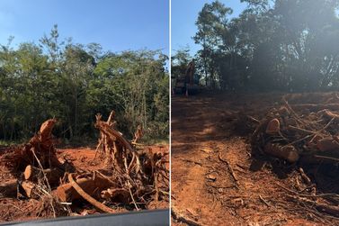 Moradores de Brumadinho criticam supress&atilde;o de &aacute;rvores em obras na regi&atilde;o de Aranha