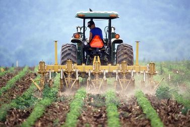 Sine de Brumadinho tem v&aacute;rias vagas de trabalho abertas nesta quarta-feira