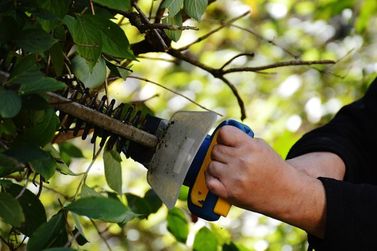 Confira as oportunidades de trabalho dispon&iacute;veis no Sine de Brumadinho nesta quinta
