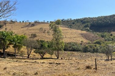 Fazenda &agrave; venda - 300m&sup2; - Centro 