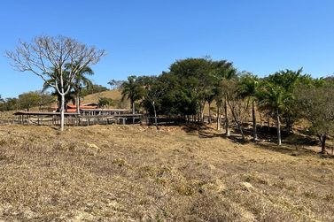 Fazenda &agrave; venda - 300m&sup2; - Centro 