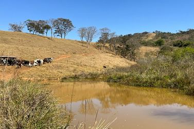Fazenda &agrave; venda - 300m&sup2; - Centro 
