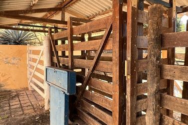 Fazenda &agrave; venda - 300m&sup2; - Centro 