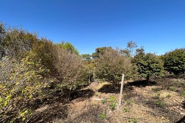 Fazenda &agrave; venda - 300m&sup2; - Centro 