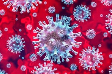 Brusque registra 352º Óbito relacionado ao Coronavírus