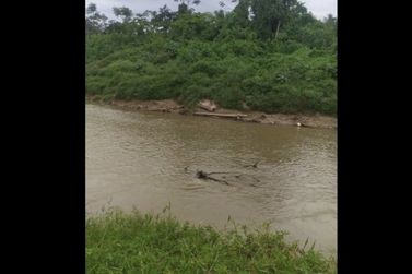 Corpo de homem é encontrado boiando no rio Itajaí-Mirim