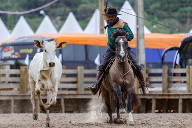 Fim de semana tem shows, festas e cultura gratuita em Brusque e região
