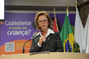 Debate sobre gastos p&uacute;blicos marca sess&atilde;o da C&acirc;mara de Brusque