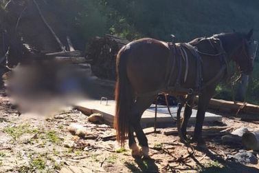Homem &eacute; encontrado morto em propriedade rural no Rio Branco