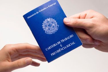 SINE de Brusque tem 348 vagas abertas em diversas &aacute;reas; confira as oportunidades