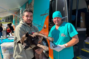 Mutir&atilde;o gratuito realiza castra&ccedil;&atilde;o de 114 c&atilde;es e gatos em Brusque