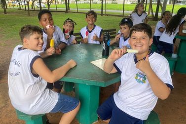 Projeto Crian&ccedil;a Ecol&oacute;gica promove aprendizado com visita a espa&ccedil;os naturais