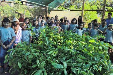 Alunos participam de trilha pedag&oacute;gica ambiental em Lourdes