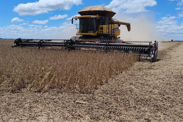 Colheita da soja em Mato Grosso do Sul chega a 14,9% e mant&eacute;m avan&ccedil;o desigual